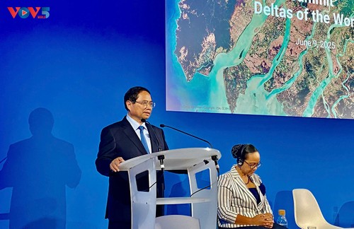 PM proposes three readiness steps to develop deltas  - ảnh 1