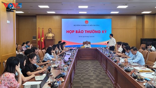 Agro-forestry, fisheries record trade surplus in H1 - ảnh 1