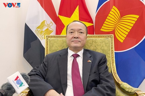 A new chapter of cooperation with Egypt and Angola - ảnh 2