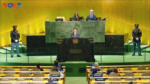 Vietnam advocates peace, building a sustainable future - ảnh 1