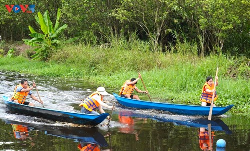 Exploring U Minh Ha cajuput forest by wooden sampan - ảnh 3