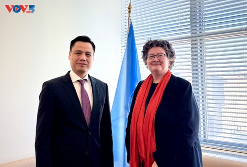 UN praises Vietnam's contributions at international legal forums - ảnh 1