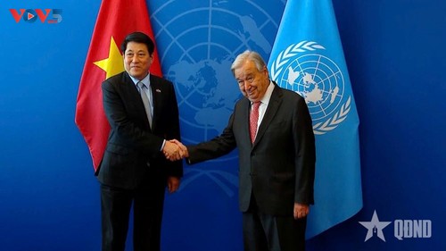 Vietnam advocates multilateralism, UN’s central role in global governance    - ảnh 1