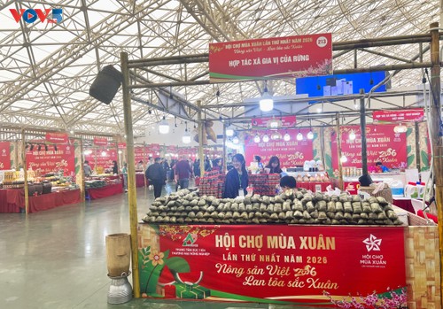 Spring Fair 2026 stimulates Tet shopping  - ảnh 3