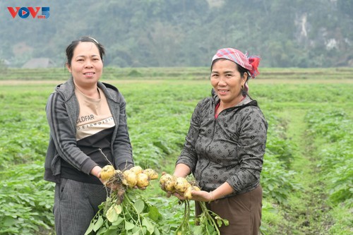 Rebirth of flood-ravaged Chut village - ảnh 3