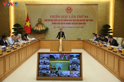 ハー副首相は、IUUデータ管理規則の完成を指示 - ảnh 1