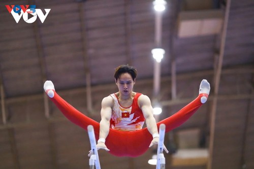 SEA Games 33でベトナム選手が好成績 - ảnh 2