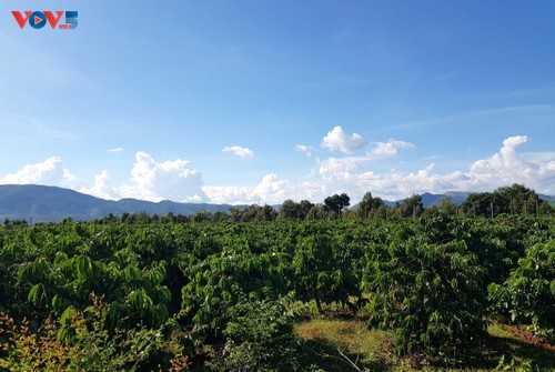 克普村保护和传承传统土锦编织业并发展社区旅游 - ảnh 2