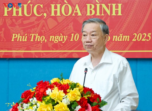 苏林：大会文件要体现新思维、新愿景、新发展渴望 - ảnh 1