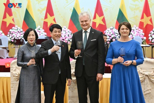 越南与立陶宛坚定走上合作与可持续发展之路 - ảnh 1
