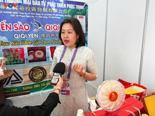 越南重申将在“两廊一圈”框架下继续加强战略互联互通 - ảnh 3