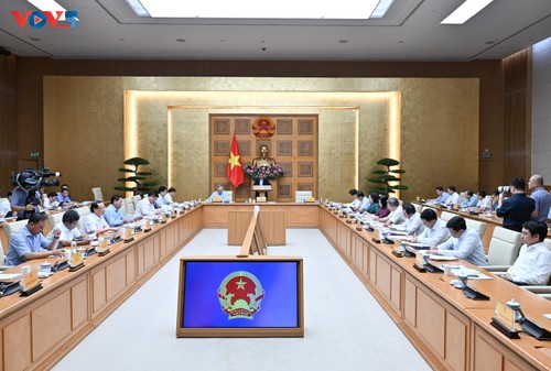  保障两级地方政府同步、高效运行 - ảnh 1