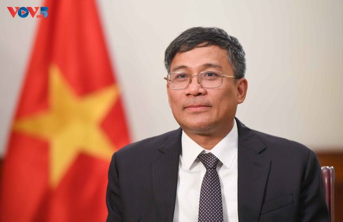 越南支持世界人民为和平与正义所作的努力 - ảnh 1