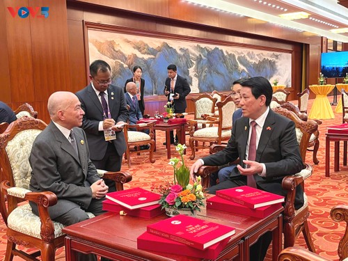 梁强会见各国领导人 - ảnh 1