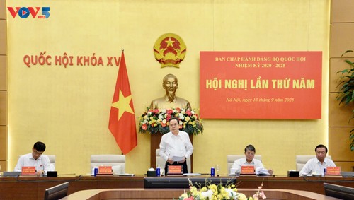 为越共国会第一次代表大会做好准备 - ảnh 1