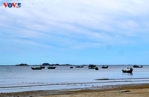 天琴：海洋经济从旅游起飞 - ảnh 1