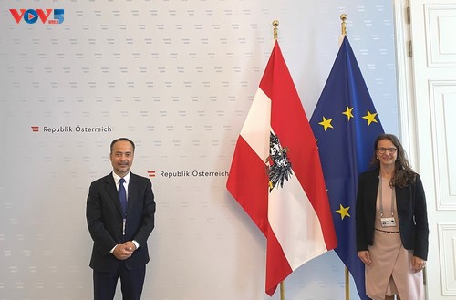 Förderung der Zusammenarbeit zwischen Vietnam und Österreich - ảnh 1