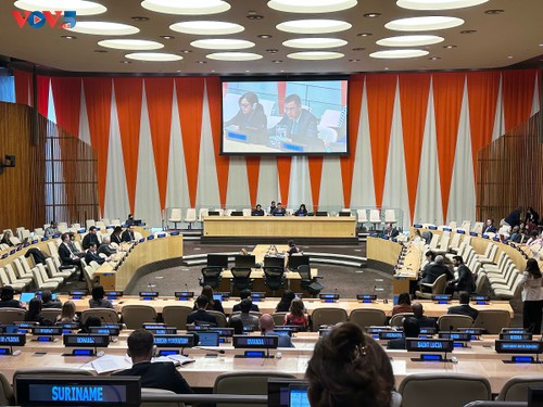 Vietnam nimmt an UN-Sitzung zum internationalen Tag der Mutter Erde teil - ảnh 1