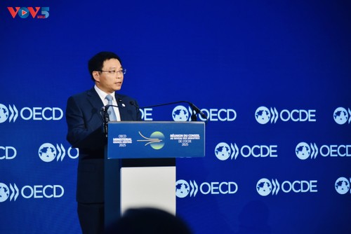 OECD-Generalsekretär: Vietnam zeigt Verantwortungsbewusstsein als Ko-Vorsitz des Südostasien-Regionalprogramms - ảnh 2