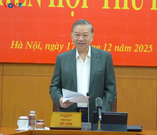 KPV-Generalsekretär To Lam: Weiterhin institutionelle Engpässe beseitigen - ảnh 1