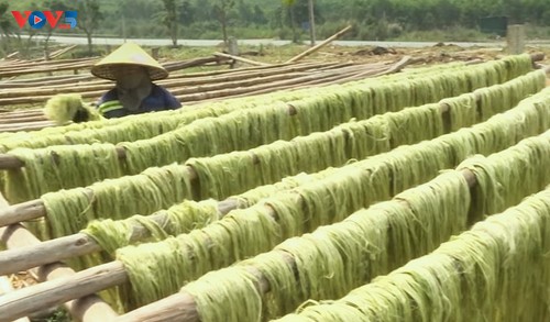 Blätter werden zum Exportrohstoff in Nghe An - ảnh 1