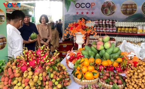 Sơn La nâng tầm nông sản, bứt phá kinh tế nông thôn từ Chương trình OCOP - ảnh 2