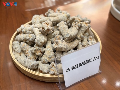 Khai mạc Lễ hội Tam thất Văn Sơn lần thứ 11 và Tuần lễ giao lưu, hợp tác Trung - Việt (Văn Sơn) năm 2025 - ảnh 5