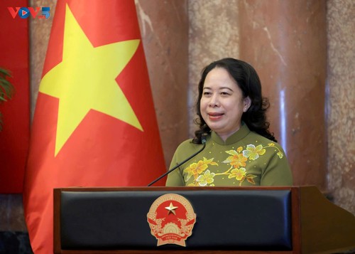 Phó Chủ tịch nước Võ Thị Ánh Xuân gặp mặt Đoàn đại biểu dân tộc thiểu số tiêu biểu tỉnh Cao Bằng - ảnh 2