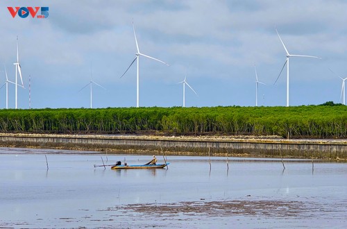 Thông tin biển đảo ngày 10/01/2026 - ảnh 4
