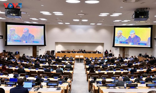 Vietnam calls for strengthened women’s role in peacekeeping operations - ảnh 1