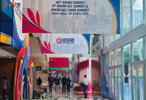 Malaysia proposes ASEAN-US Special Summit this year - ảnh 1