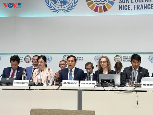 Vietnam co-chairs panel discussion on sustainable fisheries management at UNOC 3 - ảnh 1