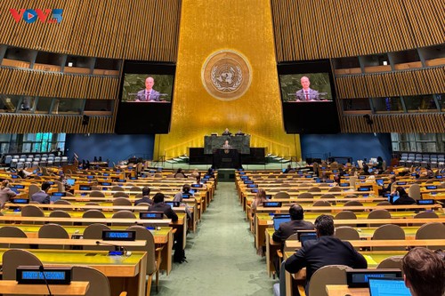 Vietnam calls for swift global action to address crises in Gaza, Middle East  - ảnh 1