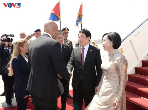 President Luong Cuong paying state visit to Egypt  - ảnh 1