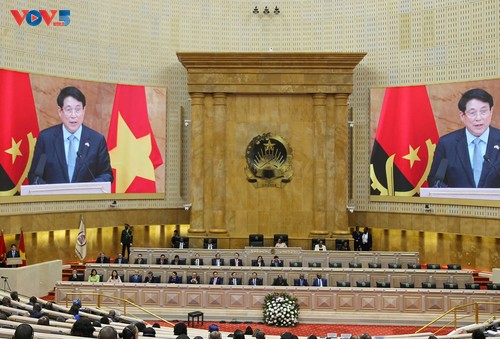 Vietnam-Angola relations set to be a model of South-South cooperation: President  - ảnh 1