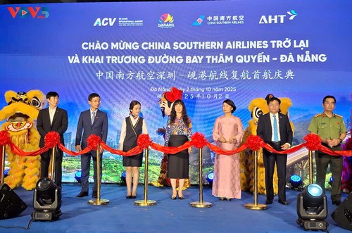 Shenzhen-Da Nang flight resumes  - ảnh 1