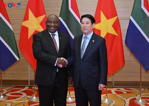 Vietnam, South Africa eye strategic partnership in 2025 - ảnh 1
