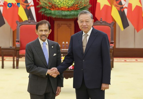 Party leader praises Brunei Sultan’s Vietnam visit  - ảnh 1