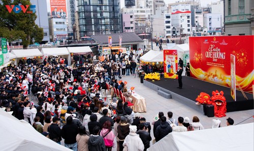 Lunar New Year get-together held for Vietnamese communities abroad  - ảnh 1