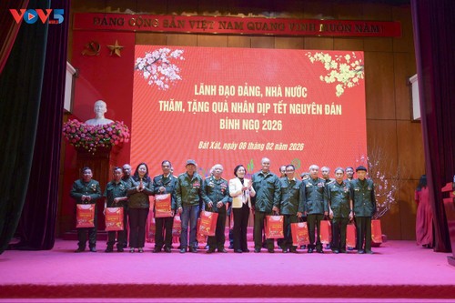 Party, State leaders pay pre-Tet visits to localities - ảnh 1