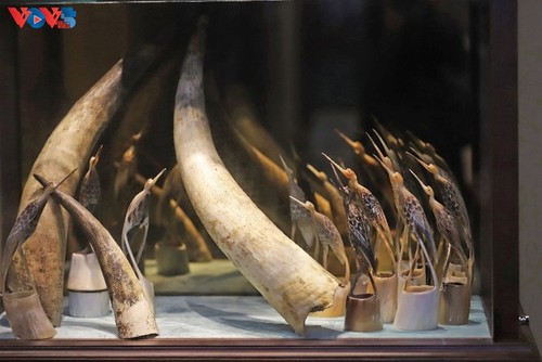 하노이 ‘낌응언 사당 이야기 공간’, 전통 직업 거리의 기억 재현 - ảnh 14