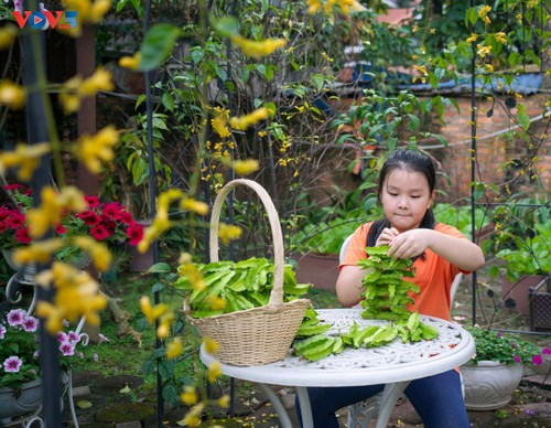 Ấm áp với vẻ đẹp của khu vườn hữu cơ thơ mộng  - ảnh 11