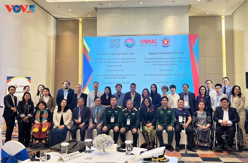 Việt Nam và các tổ chức quốc tế tăng cường hợp tác trong lĩnh vực hỗ trợ nạn nhân bom mìn sau chiến tranh  - ảnh 1