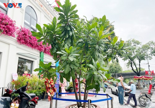 “Một dải non sông” – Những hình ảnh kết nối đất liền và biển, đảo Việt Nam - ảnh 7