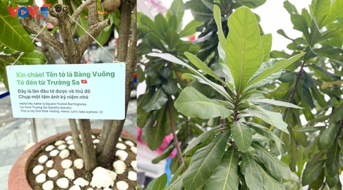 “Một dải non sông” – Những hình ảnh kết nối đất liền và biển, đảo Việt Nam - ảnh 8