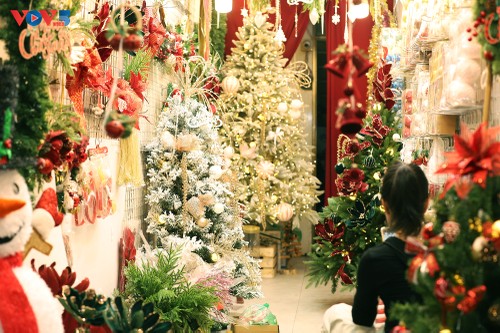 Lung linh Giáng sinh Hà Nội  - ảnh 8