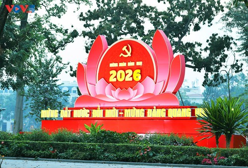 Không khí Tết rộn ràng khắp Việt Nam - ảnh 2