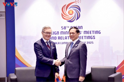 Việt Nam tăng cường hợp tác toàn diện trong ASEAN - ảnh 2