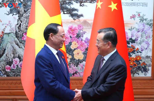 Làm sâu sắc hơn nữa quan hệ hợp tác giữa Quốc hội Việt Nam và Nhân đại Toàn quốc Trung Quốc - ảnh 1