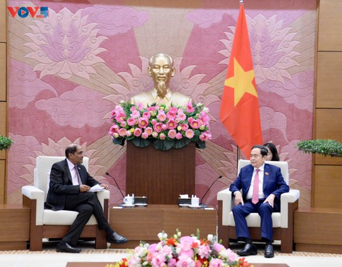 Chủ tịch Quốc hội Trần Thanh Mẫn tiếp Đại sứ Indonesia và Đại sứ Singapore tại Việt Nam - ảnh 2